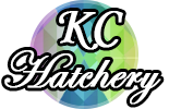 A round, rainbow button with KC Hatchery written on it. Links to the Kaleidoscope Compendium hatchery forum page by Jeevas