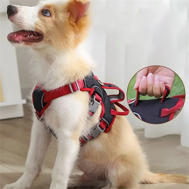 Dog Harness Image 3