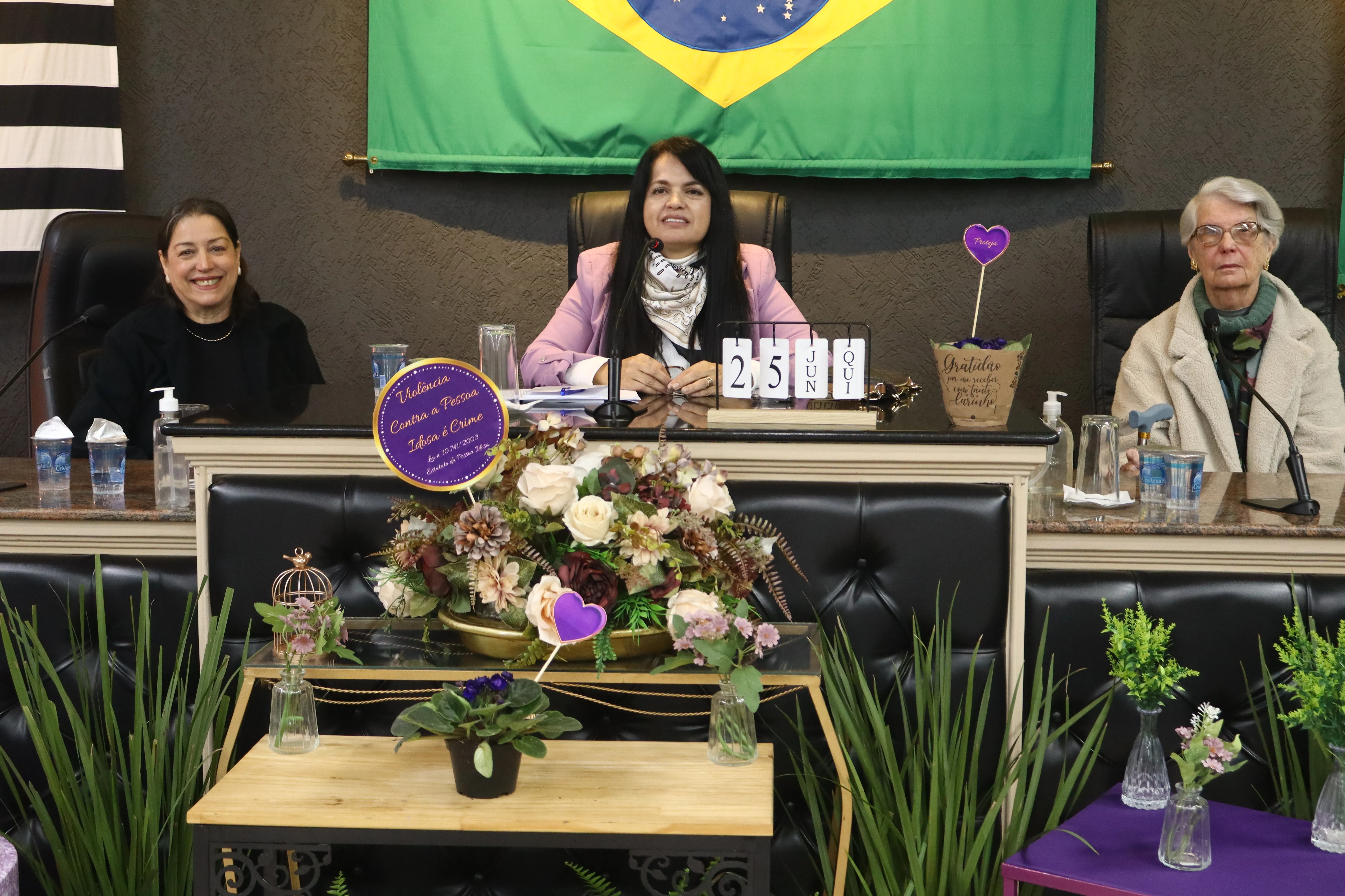 Vereadora Raquel Spada Presidiu A Mesa
