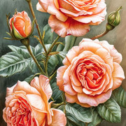 5f7ce861c2acb5c263ea414dbc3c2ae9