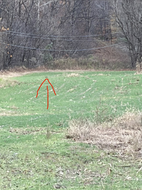 IMG-8161
