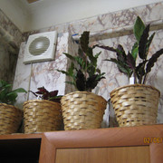 IMG 6416