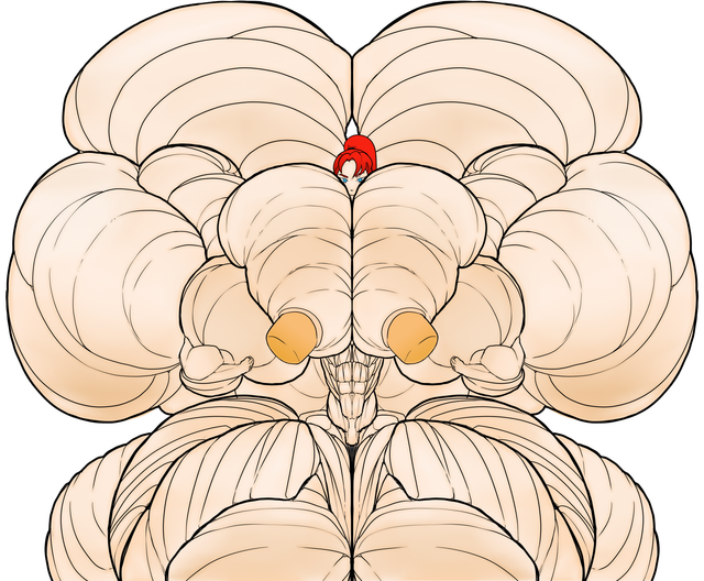 Adleto Art Lin.png