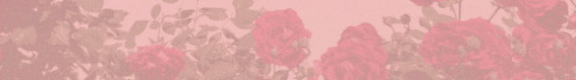Rosies Trading Newspaper Banner.gif