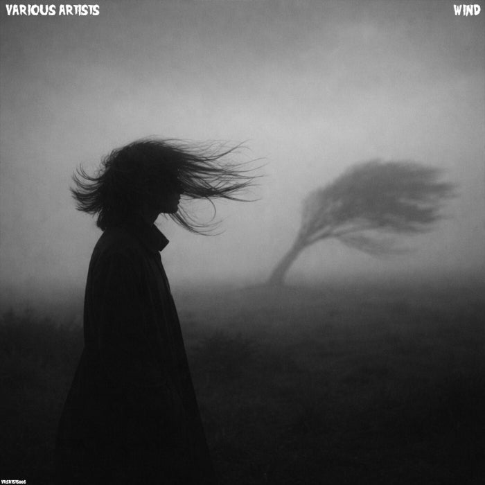VA – Wind VRSRTSTS006 VA – Wind VRSRTSTS006