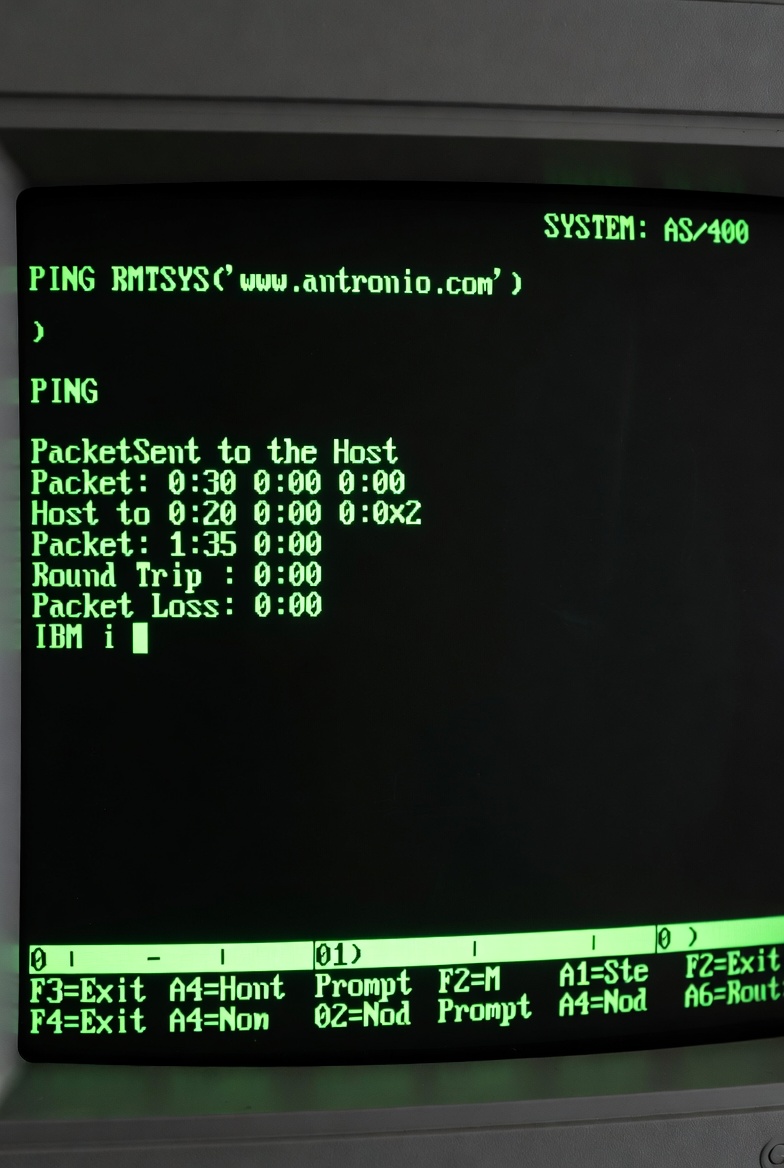 image.jpg