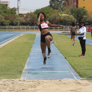 IMG-0395