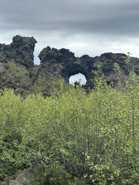 IMG-6698