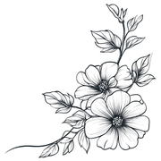 95a826f8fcd6a0c66a044620a0ae5d9a