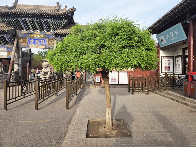 71.jpg