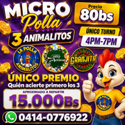 microp polla 4pm a 7pm