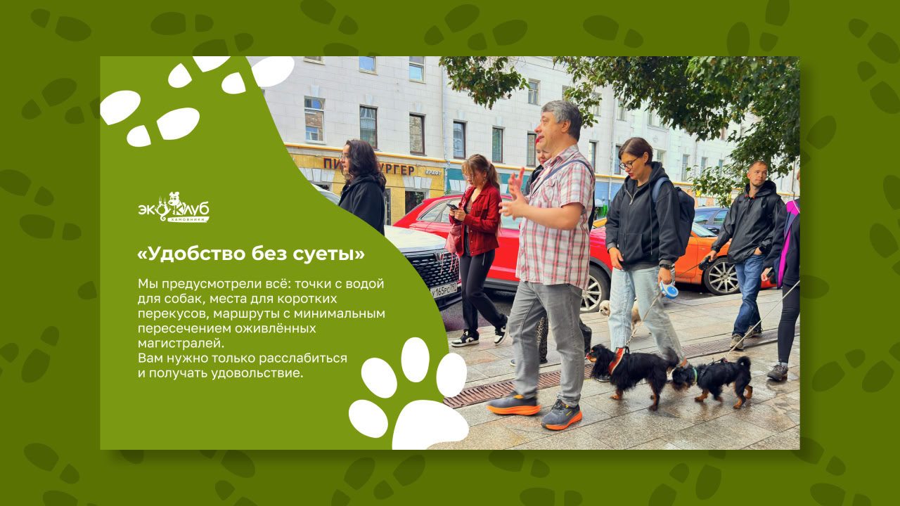 ЭкоПрогулки с собаками по паркам Москвы