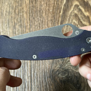 https://i.ibb.co/9kf7svVd/IMG-5216.jpg