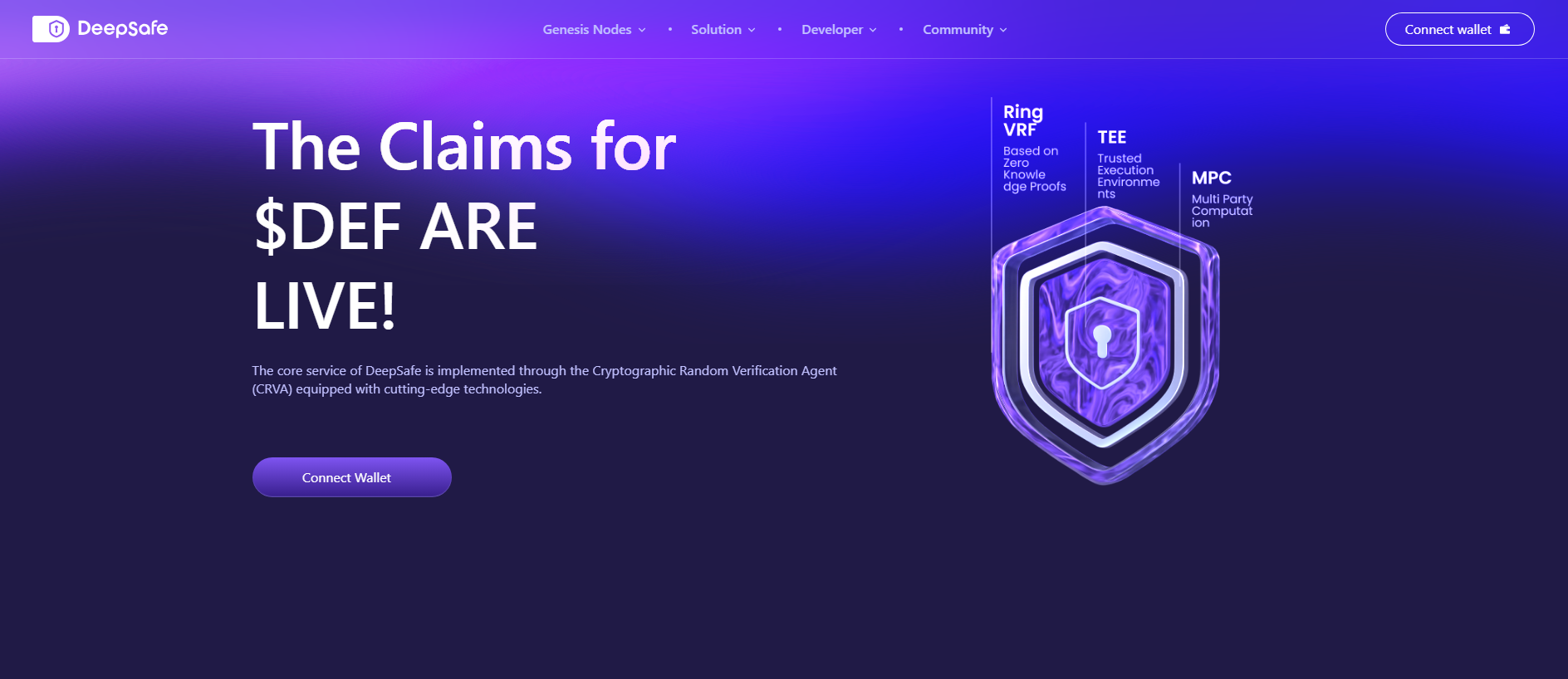 Stored capture of deepsafenetwork.live