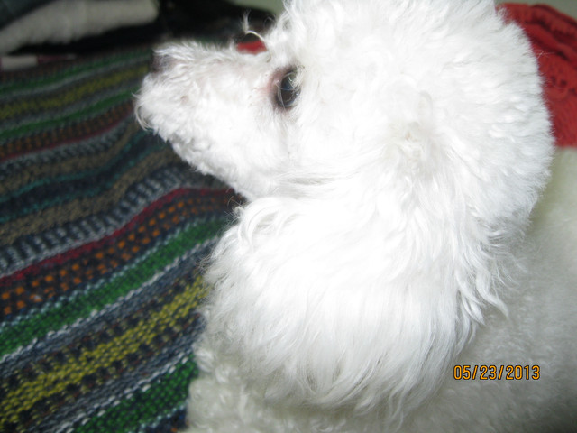 IMG 3267.jpg
