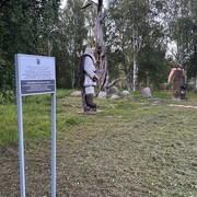IMG 5540