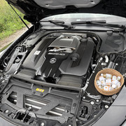 IMG-4491