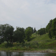 DSC06449-5