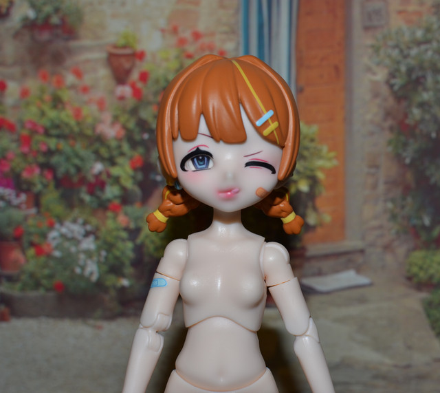 DSC-0103