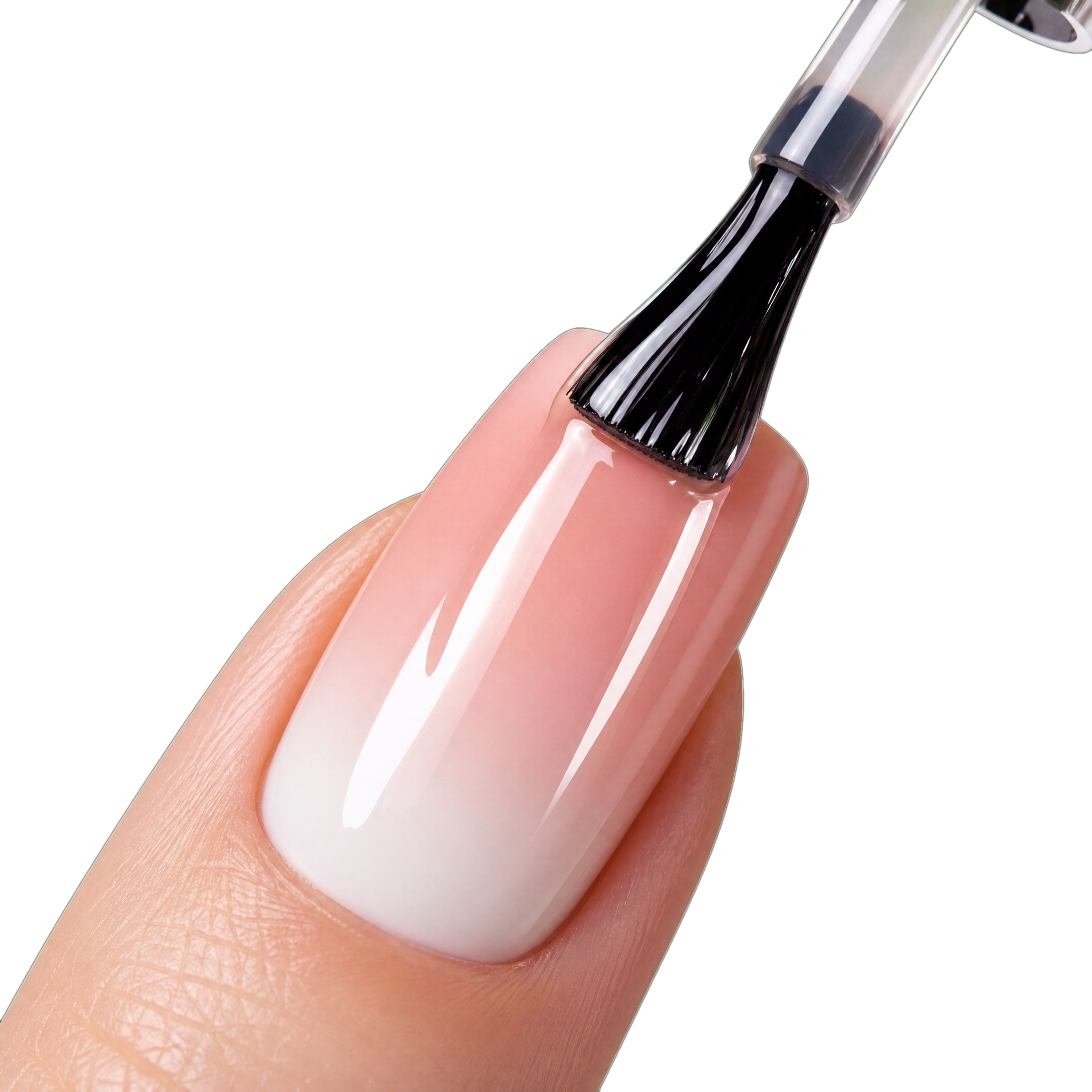 The High-Gloss Top Coat