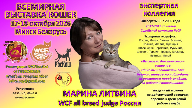 афиша 15
