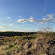 IMG 0412