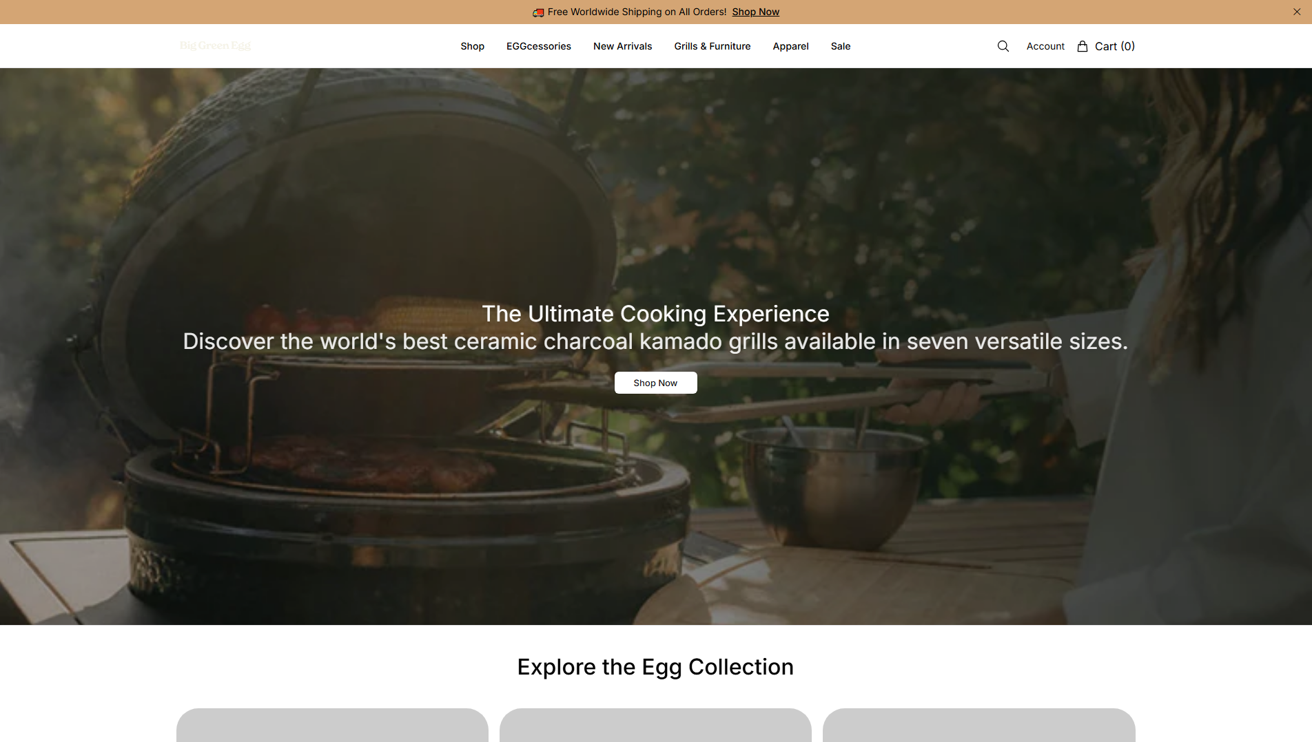 Stored capture of biggreeneggstyle.shop