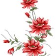 ca6c19137b7a92d2d86d20214072370b.png