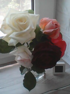 IMG0302A.jpg