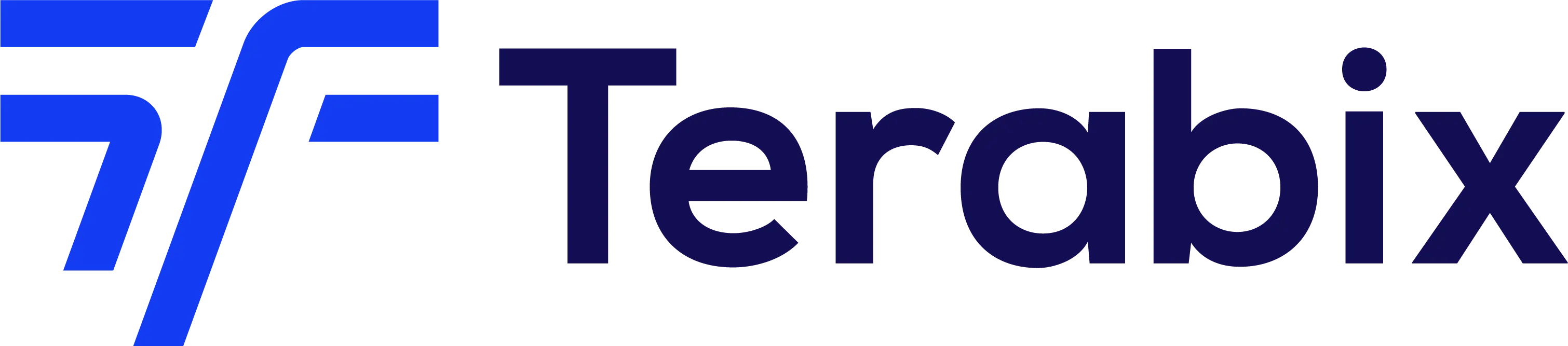 Terabix logo