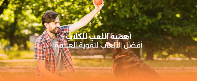 أهمية اللعب للكلاب