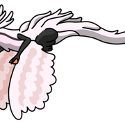 Gracewing