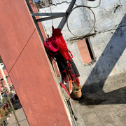 IMG20201218121328