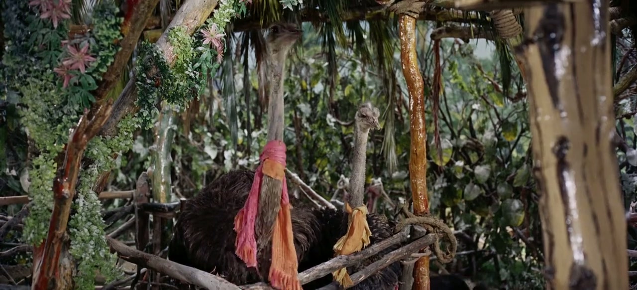 Doctor Dolittle Screenshot