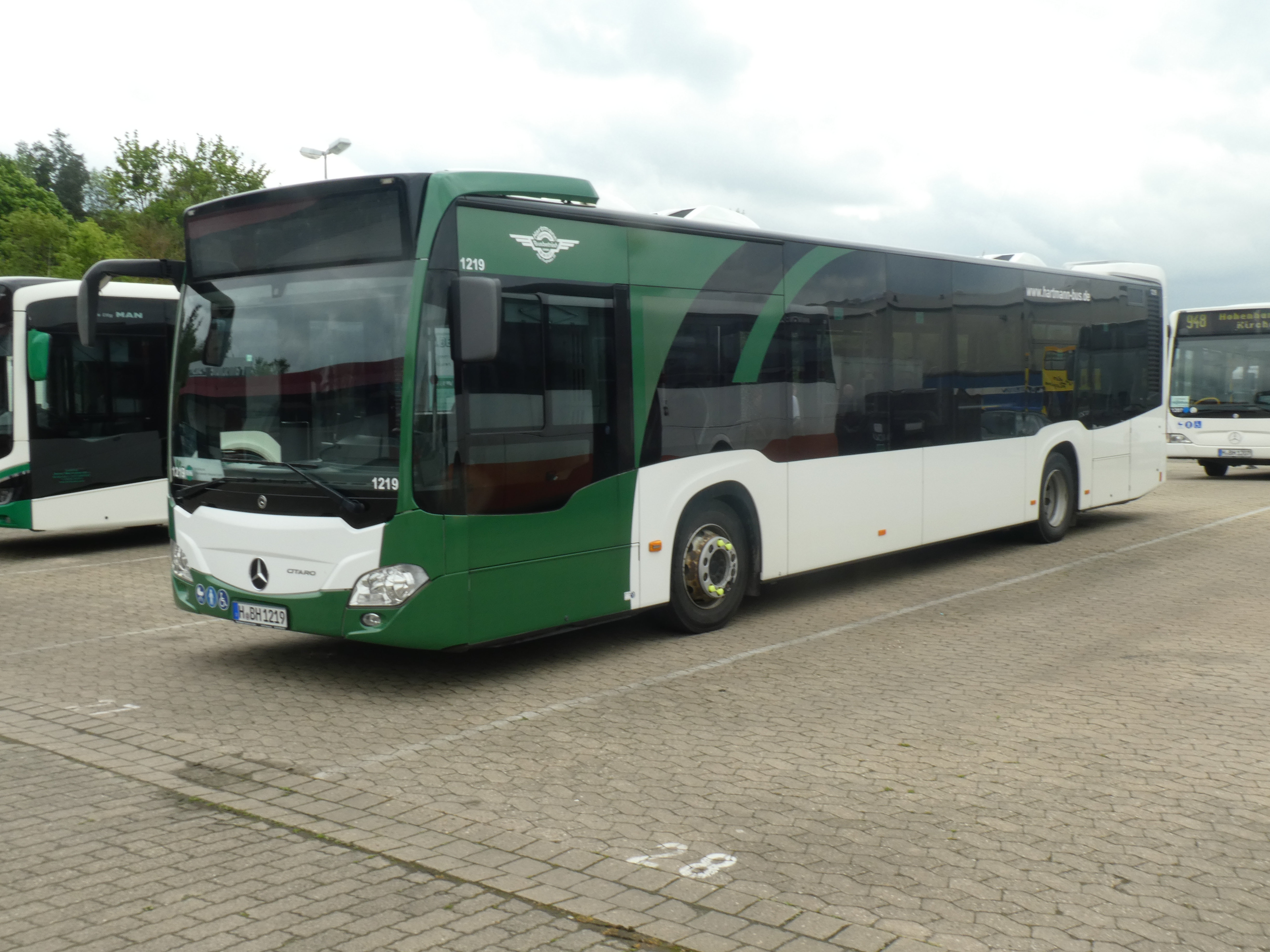 i.ibb.co/9mCGY1Rb/Hartmann-1219-2.jpg