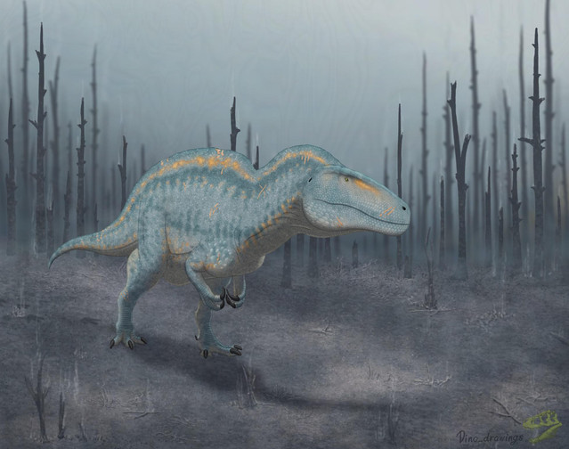 “An Acrocanthosaurus returns to what it once called home. Now just filled with ash. The fire still raging not too far away. It’s just tall enough to avoid the deadly toxins, and it itself narrowly avoided the flames, but the damage is still there. It will survive. But it will be a struggle. But not a struggle it can’t beat”