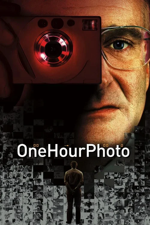 Zdjęcie w godzinę - One Hour Photo (2002) PL.720p.BDRip.XviD.AC3-inTGrity / Lektor PL