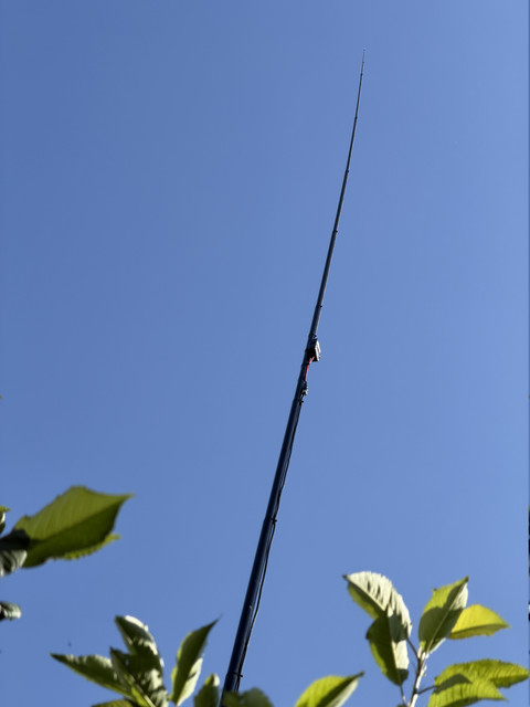 IMG 7595.jpg