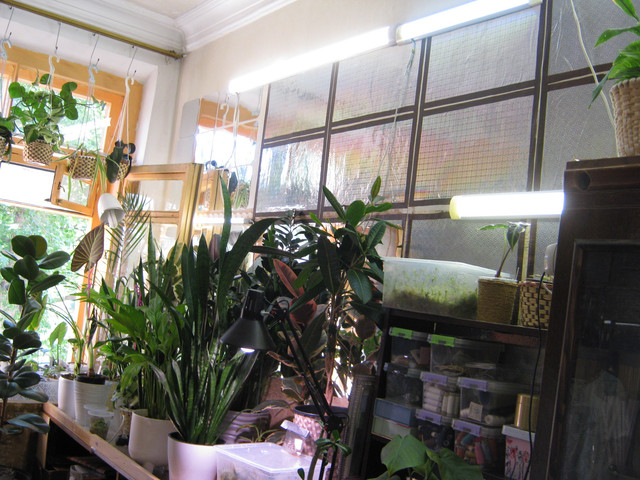 IMG 6434.jpg