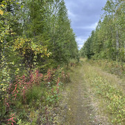 IMG 5787
