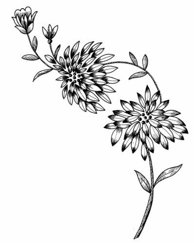4fd3f91ca2b9c156285f909443b57f15.jpg