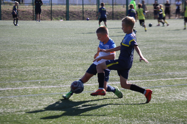 IMG-0504