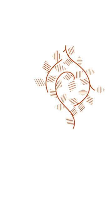 ac8a16811cfb8d2fde038d9ea34800da.png