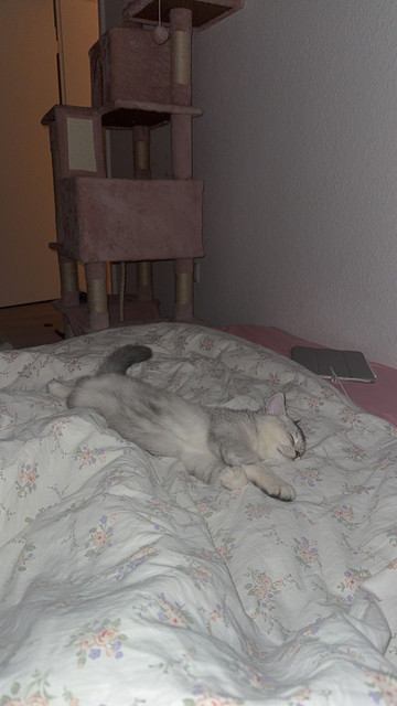 IMG 3606