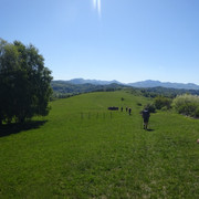 DSC04823