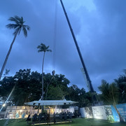 IMG 4846