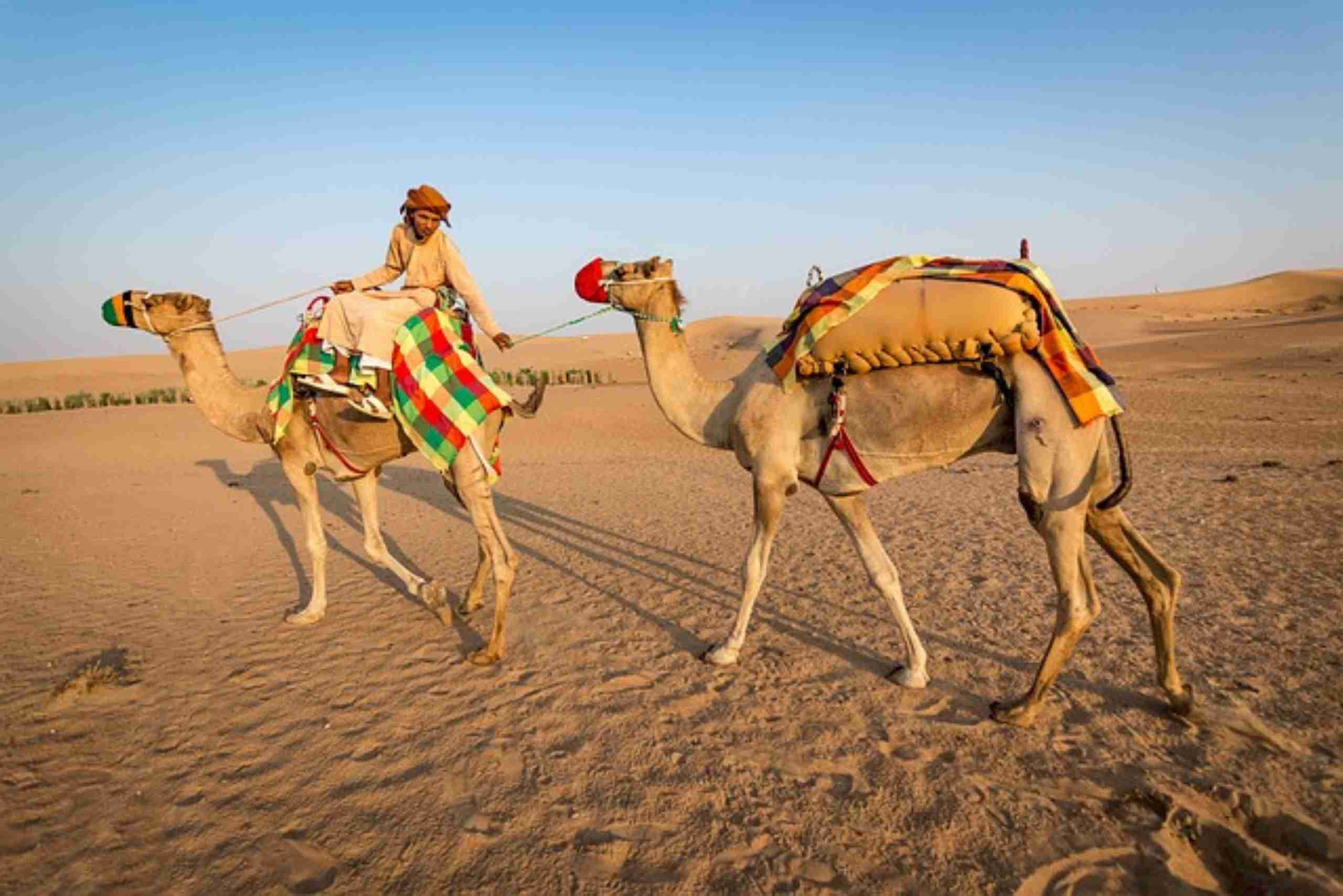 An image showing a man riding a camel through a sandy landscape, depicting a camel caravan in Niger Republic.