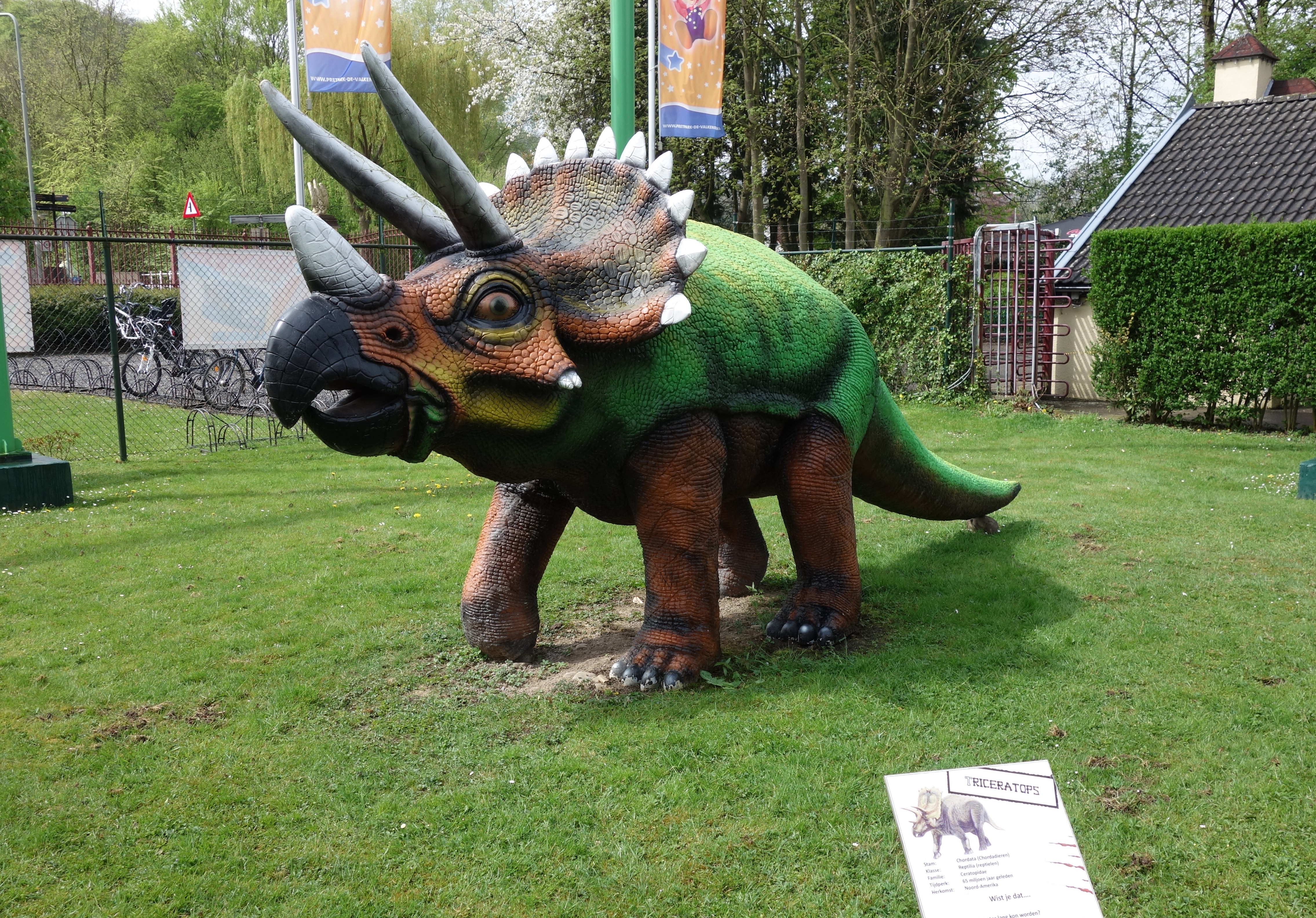 DSC00373