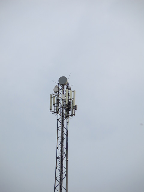 IMG-4789