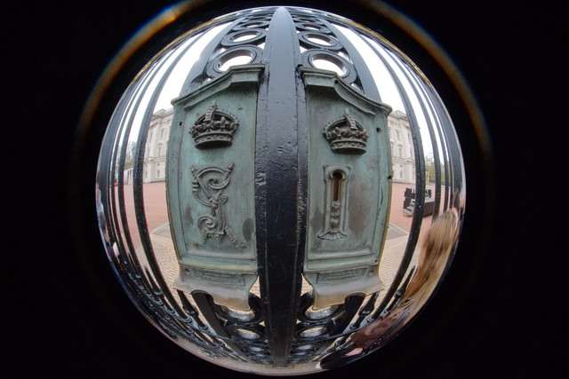 DSCF8701.jpg